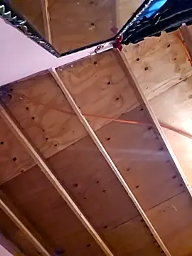 Eljilipoyas69 online show from 14, 11, 2025