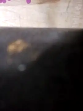 Jeremycle online show from 25, 10, 2025