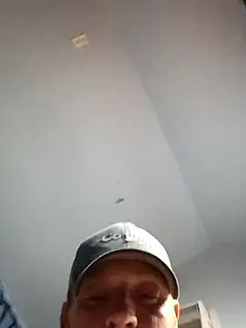 Rooster149628tim online show from 15, 7, 2026