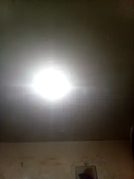 Bebicho14 online show from 9, 9, 2025