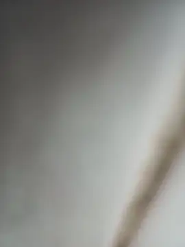 Snapshot of Jobson40 chatting on 16, 10, 2025 Jobson40 online show from 16, 10, 2025