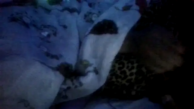 prettymaa online show from 28, 4, 2026