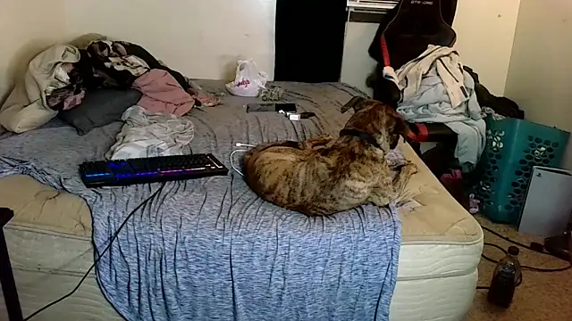 Snapshot of YoBlezz chatting on 11, 6, 2026 YoBlezz online show from 11, 6, 2026