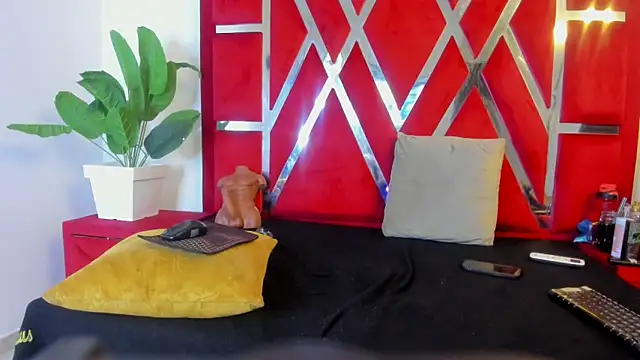 vennusasm1 online show from 12, 11, 2025