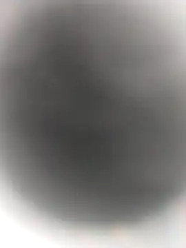 Necroforo online show from 14, 2, 2026