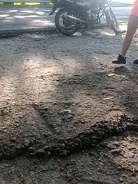 charlotte dante212 online show from 24, 4, 2026