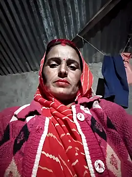 Jalebi bay online show from 12, 11, 2025