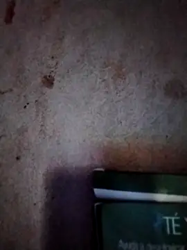  tetas 92 online show from 7, 3, 2026