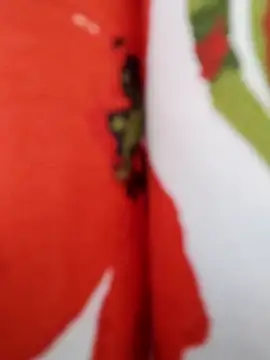  tetas 92 online show from 20, 4, 2026