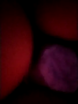  tetas 92 online show from 21, 4, 2026