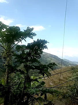 Suni2345 online show from 17, 10, 2025