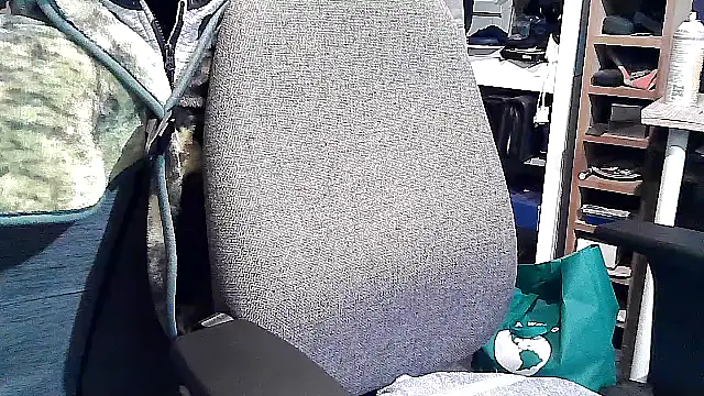 Snapshot of georgew62 chatting on 20, 9, 2025 georgew62 online show from 20, 9, 2025