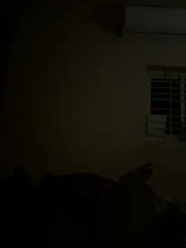 Snapshot of Chaitu-teluguhot chatting on 27, 2, 2026 Chaitu-teluguhot online show from 27, 2, 2026