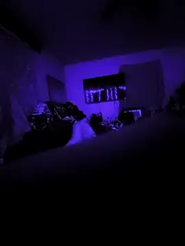 littlecockginger online show from 31, 10, 2025