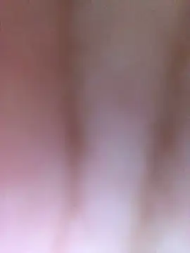 luzmelzinha online show from 11, 4, 2026