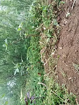 kemtuoi-sex online show from 19, 4, 2026