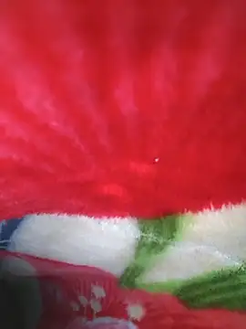 Chanderi19 online show from 23, 4, 2026