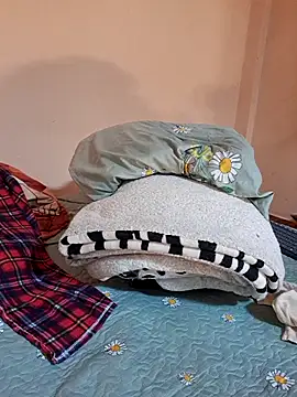 Ansiasex online show from 7, 3, 2026