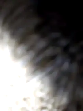 adem63636 online show from 8, 3, 2026