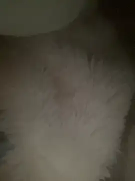 ruiki666 online show from 9, 3, 2026