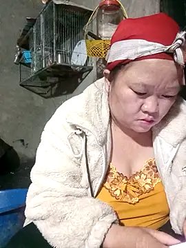 riso-00 online show from 15, 1, 2026