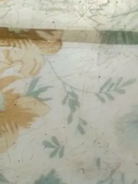 haryanaboypanipat12 online show from 23, 4, 2026