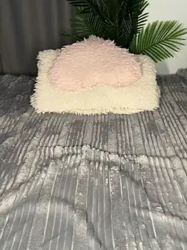 Andrestarr online show from 8, 4, 2026