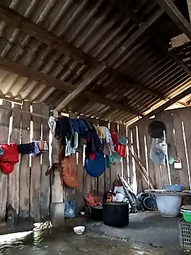 bonnie-00 online show from 15, 2, 2026