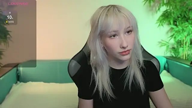 evlica online show from 17, 2, 2026