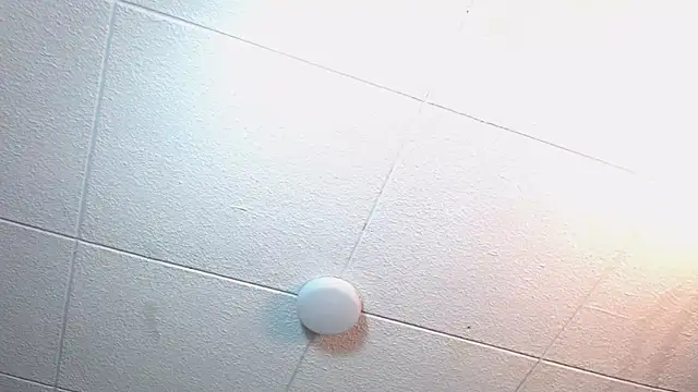 Snapshot of RichardMilleer chatting on 12, 11, 2025 RichardMilleer online show from 12, 11, 2025