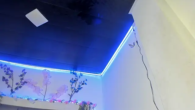 abbiecollins js online show from 25, 3, 2026