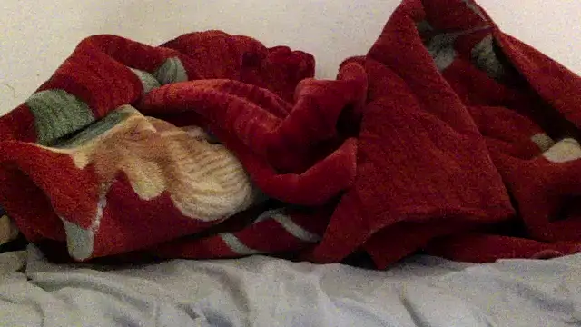 Kwasi-a online show from 29, 3, 2026