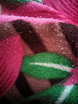 bold guy 1234 online show from 15, 10, 2025