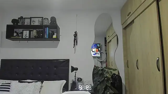 Arnolwilliams online show from 1, 11, 2025