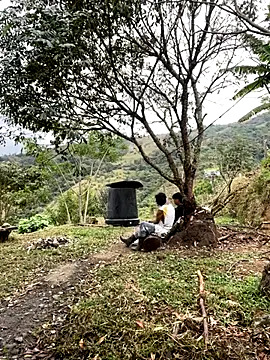 sky-wolves online show from 18, 9, 2025