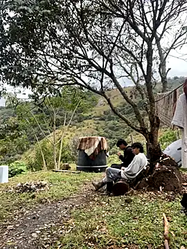 sky-wolves online show from 20, 9, 2025