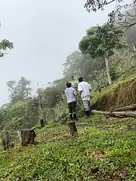 sky-wolves online show from 11, 10, 2025