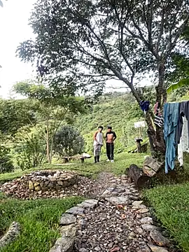 sky-wolves online show from 5, 4, 2026