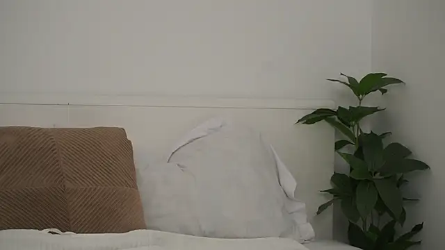 adisson fox online show from 6, 11, 2025