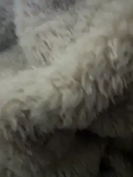 futsam653 online show from 12, 11, 2025