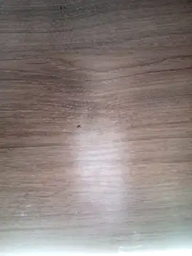 ValeriaLove43211 online show from 13, 3, 2026