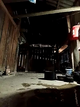 callistra online show from 7, 4, 2026