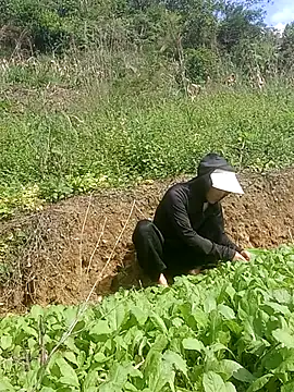 Norah-h online show from 30, 10, 2025