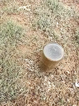 telugumodda4396 online show from 6, 10, 2025