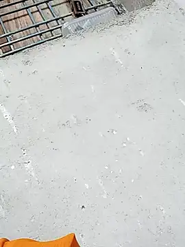 Rupali ji online show from 17, 12, 2025