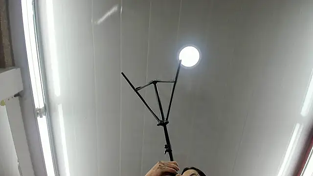 Brigith24 online show from 26, 4, 2026