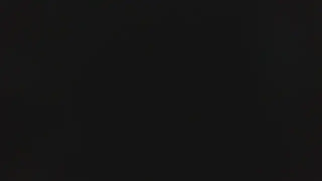 Cynariva online show from 19, 11, 2025