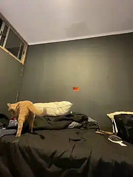 Snapshot of Ignvcivv chatting on 4, 12, 2025 Ignvcivv online show from 4, 12, 2025