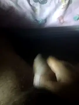 kata 77 online show from 1, 4, 2026