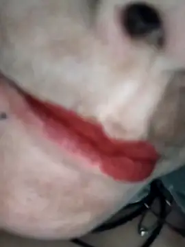 Na shreya online show from 1, 2, 2026